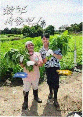 王者时刻